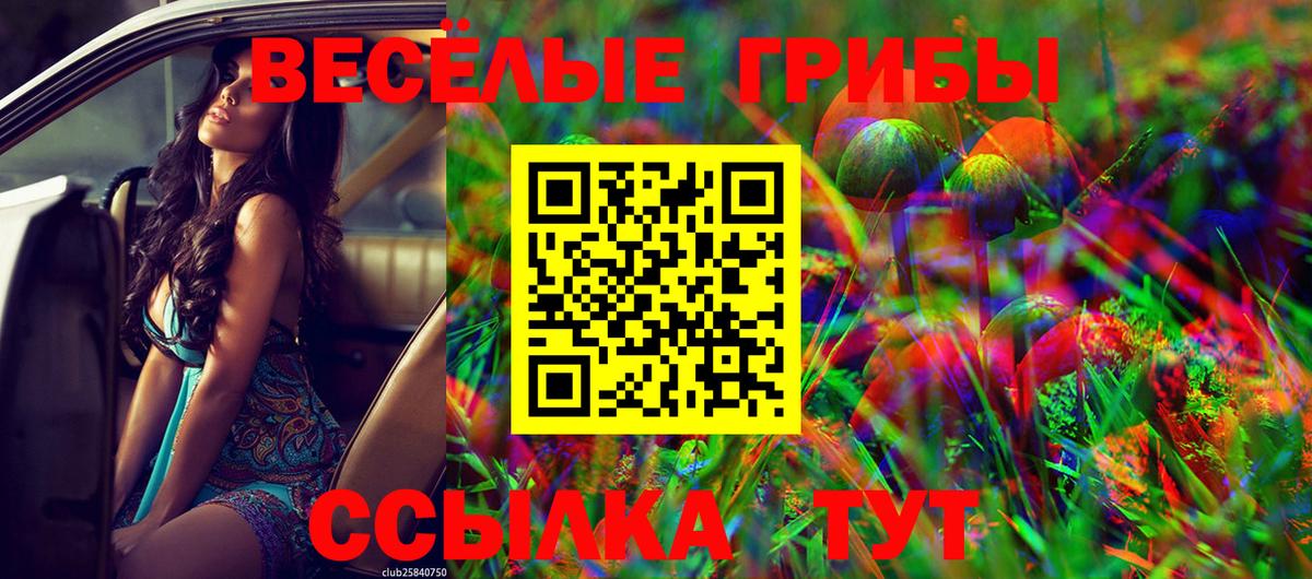 Псилоцибиновые грибы GOLDEN TEACHER  где купить наркоту  Вход с VPN  Ханты-Мансийск  Псилоцибиновые грибы ЛСД 