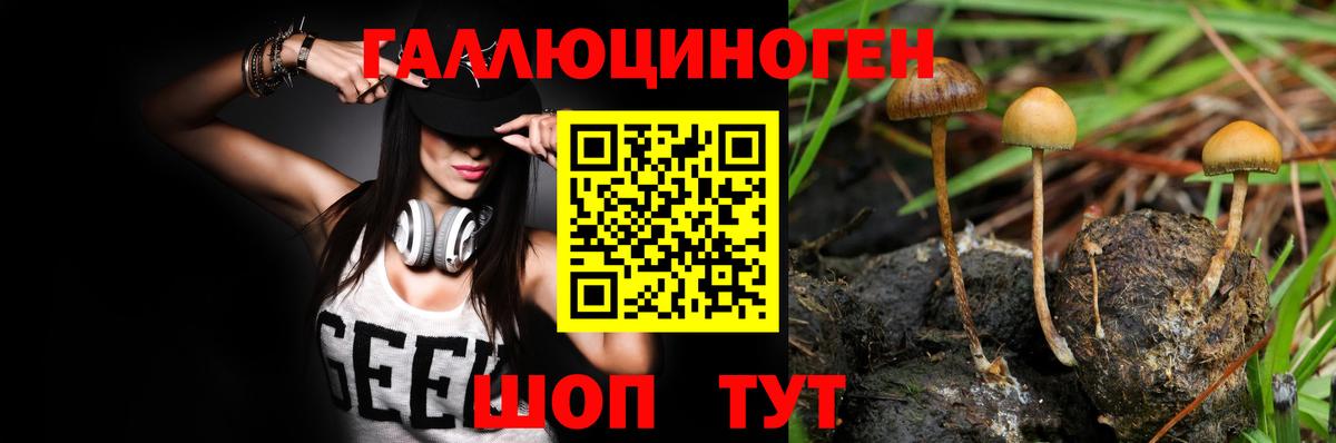 Галлюциногенные грибы Psilocybe Ханты-Мансийск