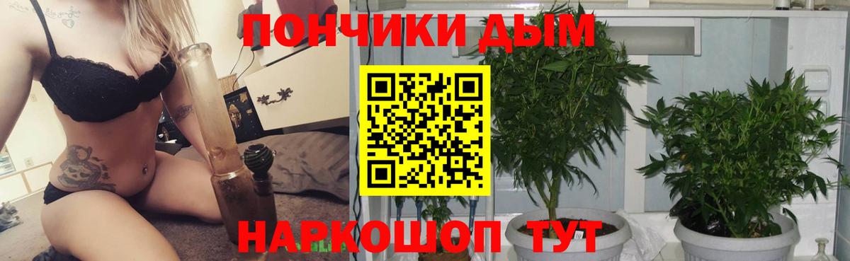 Шишки марихуана конопля  Конопля LSD WEED  Ханты-Мансийск  Вход с VPN  Конопля THC 21% 